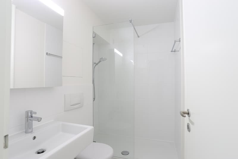 Renovated 3-room apartment near SBB train station (5)