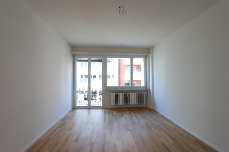 Renovated 3-room apartment near SBB train station (6)