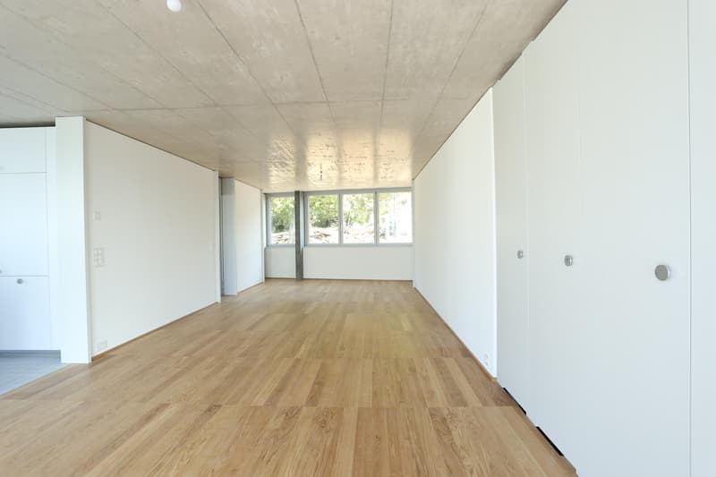 3.5 Zimmerwohnung in Therwil (7)