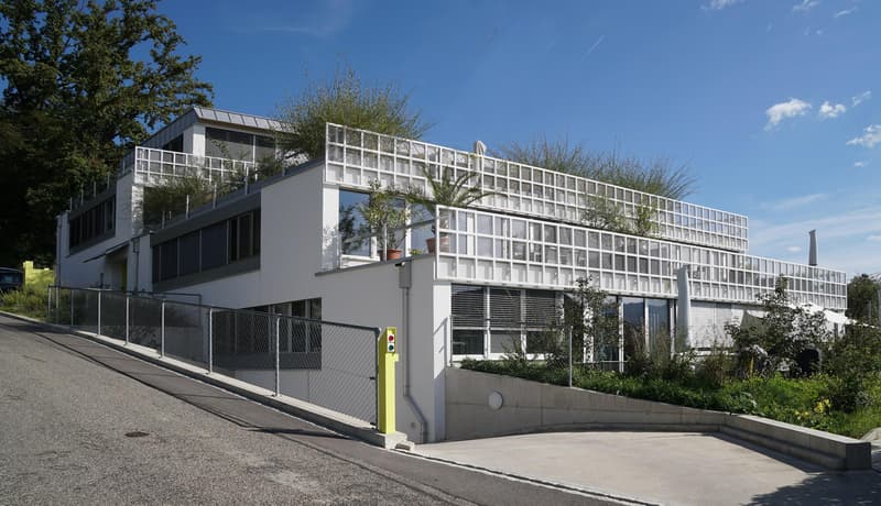 3.5 Zimmerwohnung in Therwil (2)