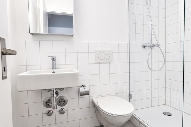 Renovierte 1-Zimmerwohnung nähe Bahnhof SBB (3)
