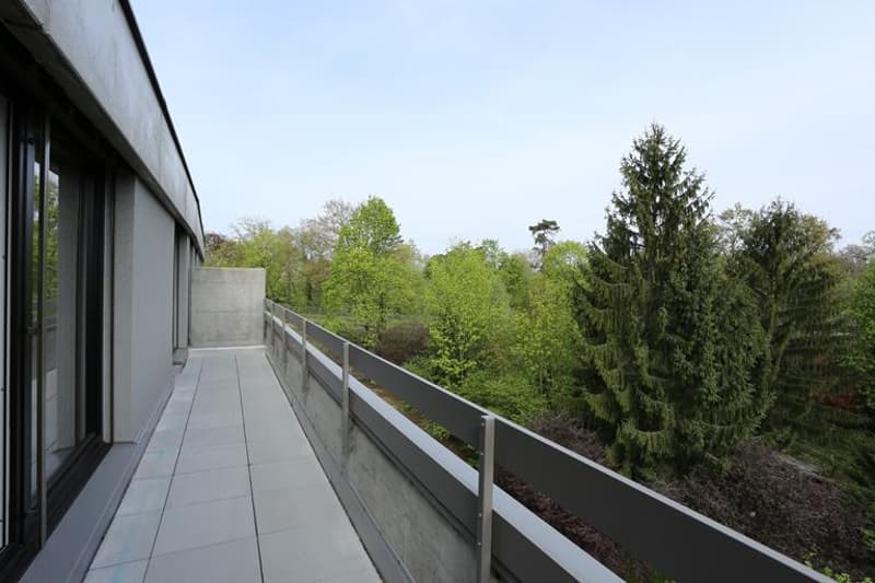 Sonnige 3,5-Zimmer-Dachwohnung Nähe der Langen Erlen (7)