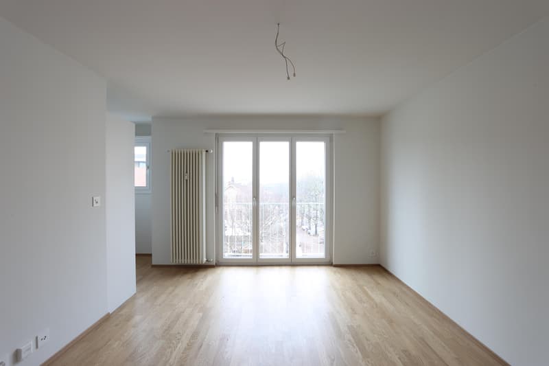 Moderne 1-Zimmerwohnung nähe Bahnhof SBB (2)