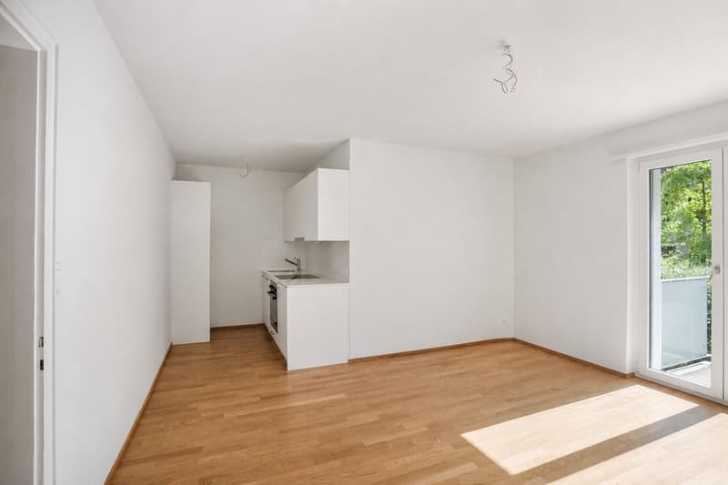 Renovierte 1-Zimmerwohnung nähe Bahnhof SBB (2)