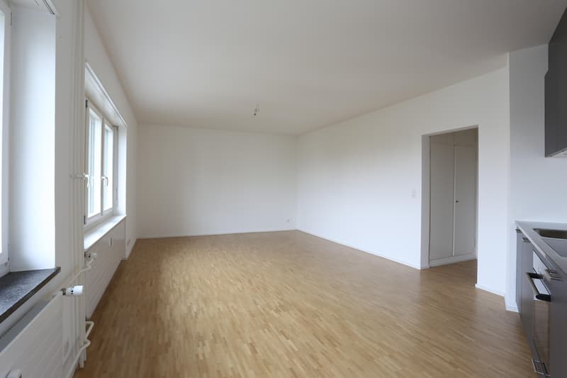 renovierte 1- Zimmerwohnung in Basel nähe Felix Platter Spital (5)