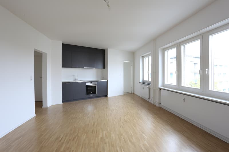 renovierte 1- Zimmerwohnung in Basel nähe Felix Platter Spital (4)