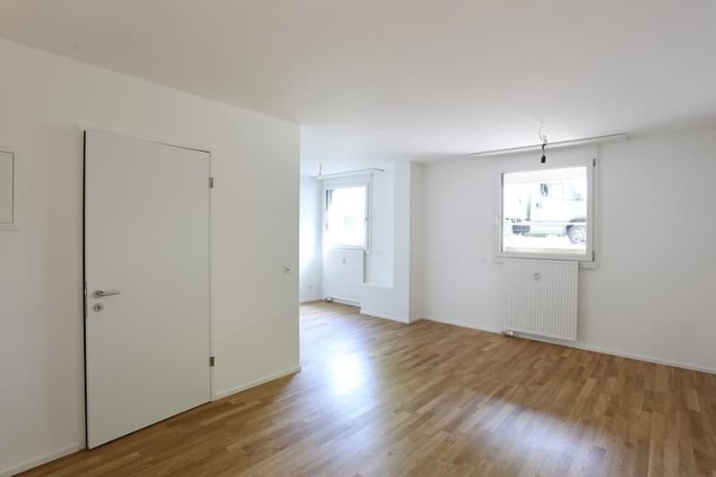 Modernes 1-Zimmerstudio Nähe der Langen Erlen (2)