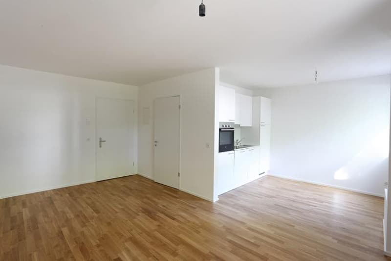 Modernes 1-Zimmerstudio Nähe der Langen Erlen (1)