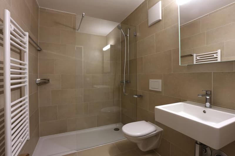 Modernes 1-Zimmerstudio Nähe der Langen Erlen (3)