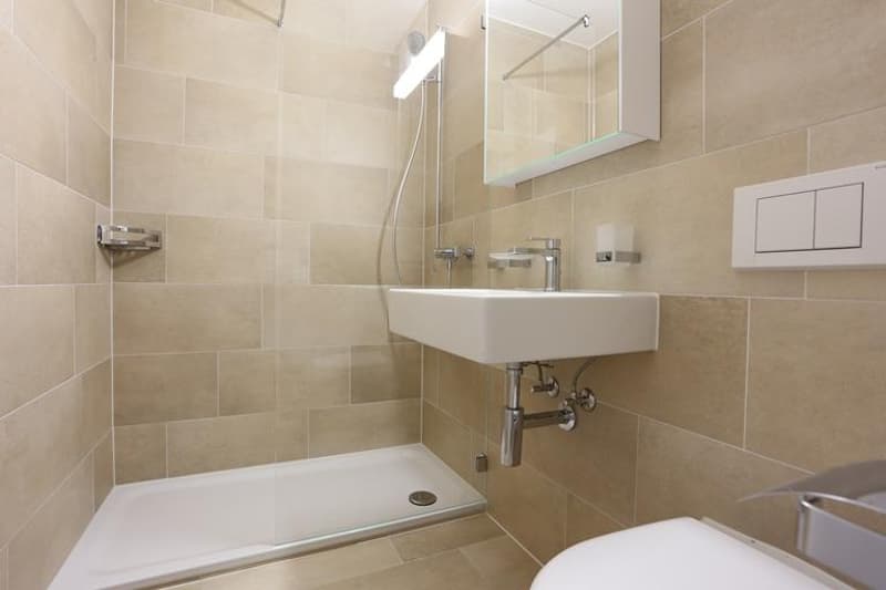 Moderne 3.5-Zimmerwohnung Nähe der Langen Erlen (3)