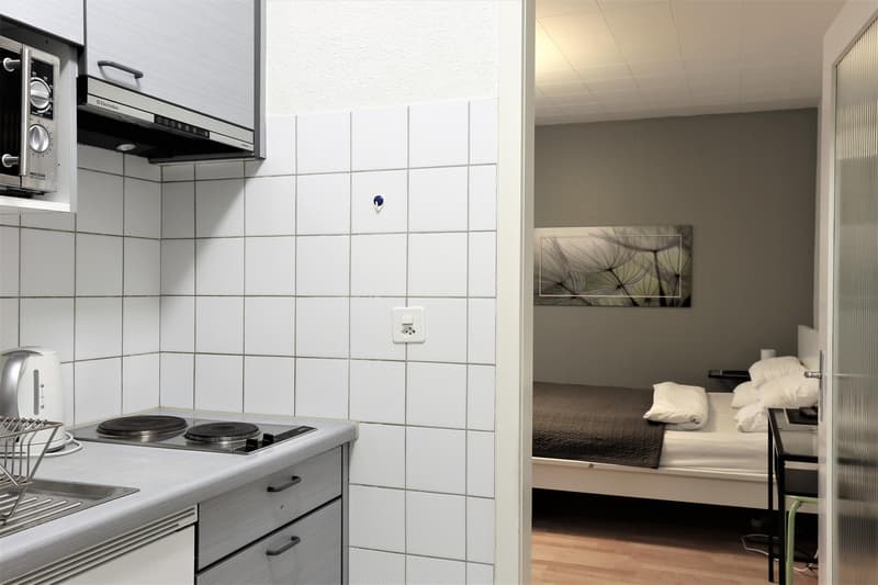 Modern möbliertes Apartmenthaus zwischen Wettsteinplatz und Roche (4)