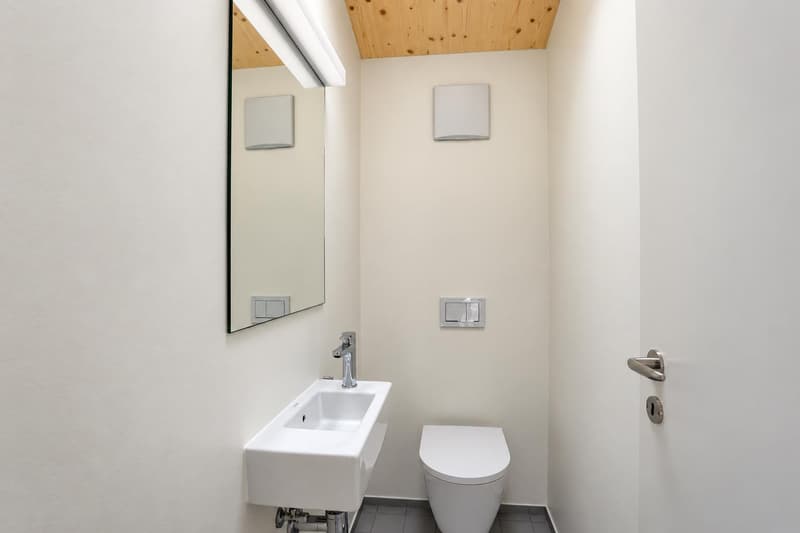 Lichtdurchflutete 3.5-Zimmer-Dachwohnung mit zwei Dachterrassen im Paulus-Quartier (9)