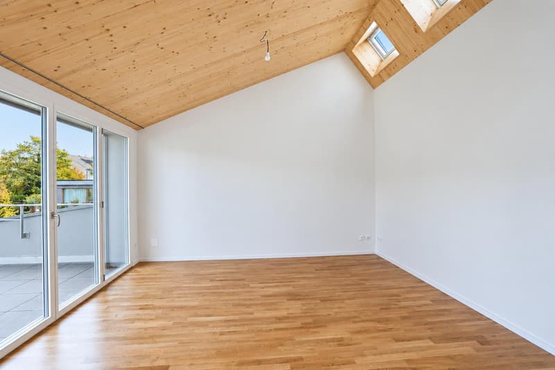 Lichtdurchflutete 3.5-Zimmer-Dachwohnung mit zwei Dachterrassen im Paulus-Quartier (1)