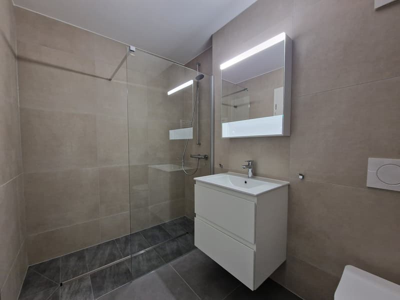 modern bathroom with glass shower, white sink, mirror, and toilet