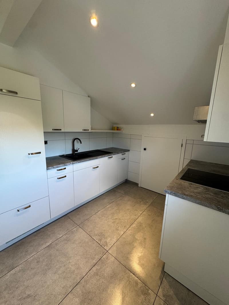 3.5 room bright attic apartment completely renovated (9)