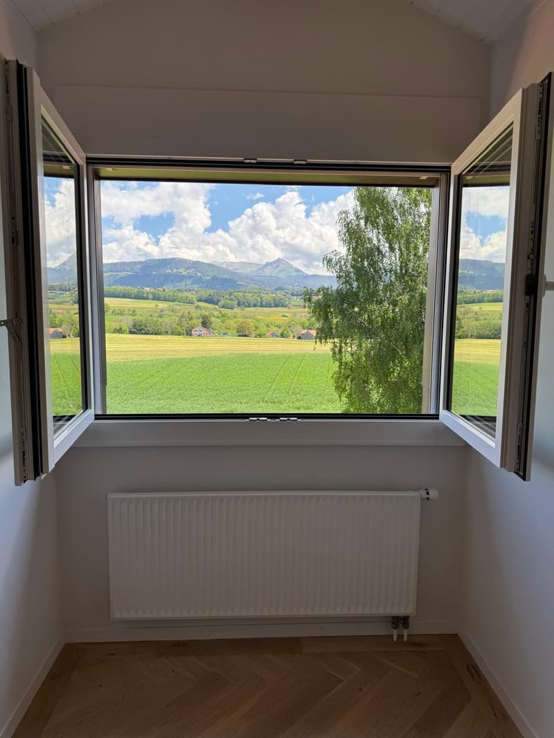 3.5 room bright attic apartment completely renovated (7)