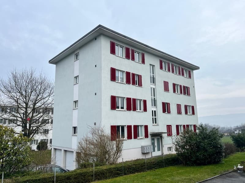 Appartement de 3 pièces confortable avec balcon à Hägglingen (1)