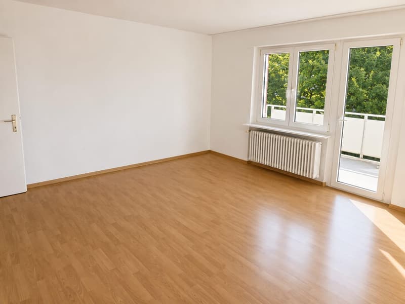 Appartement de 3 pièces confortable avec balcon à Hägglingen (2)