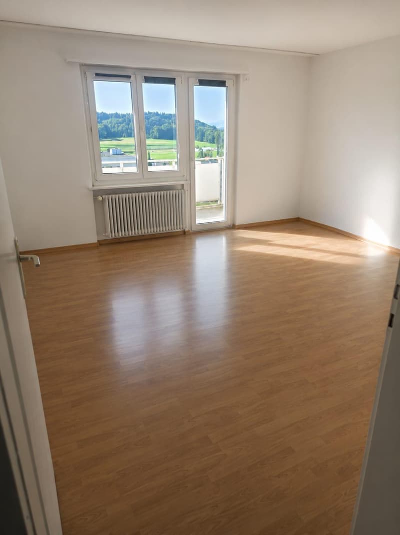 Appartement de 3 pièces confortable avec balcon à Hägglingen (3)