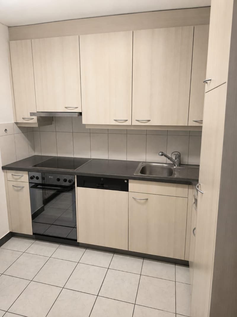 Appartement de 3 pièces confortable avec balcon à Hägglingen (6)