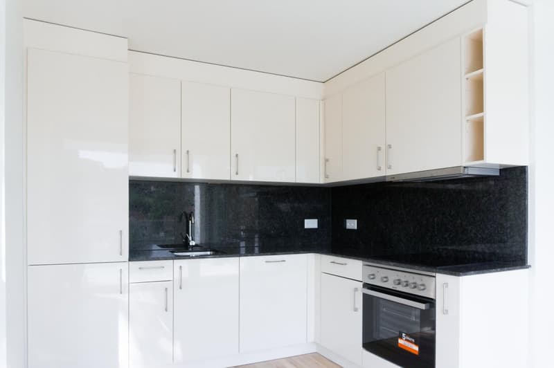 Appartement moderne de 1,5 pièces à Schaffhausen (3)