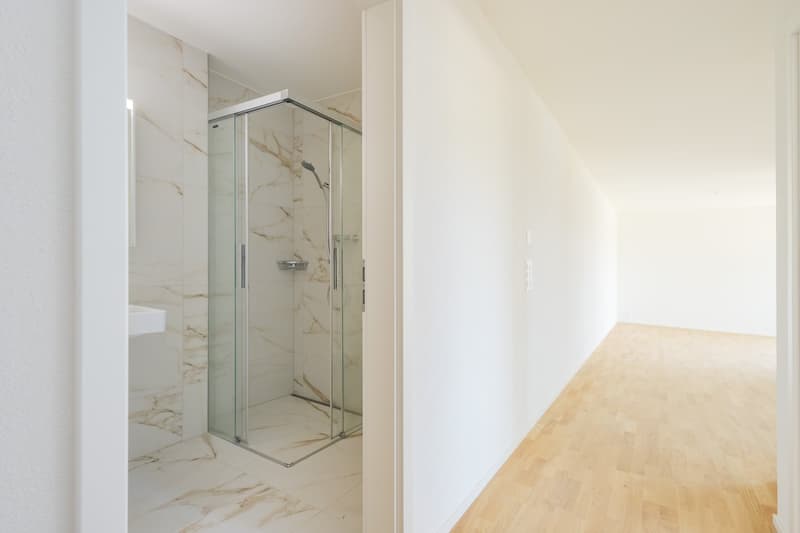Investment Package – 9 New Apartments in Frilopark Huttwil (5)