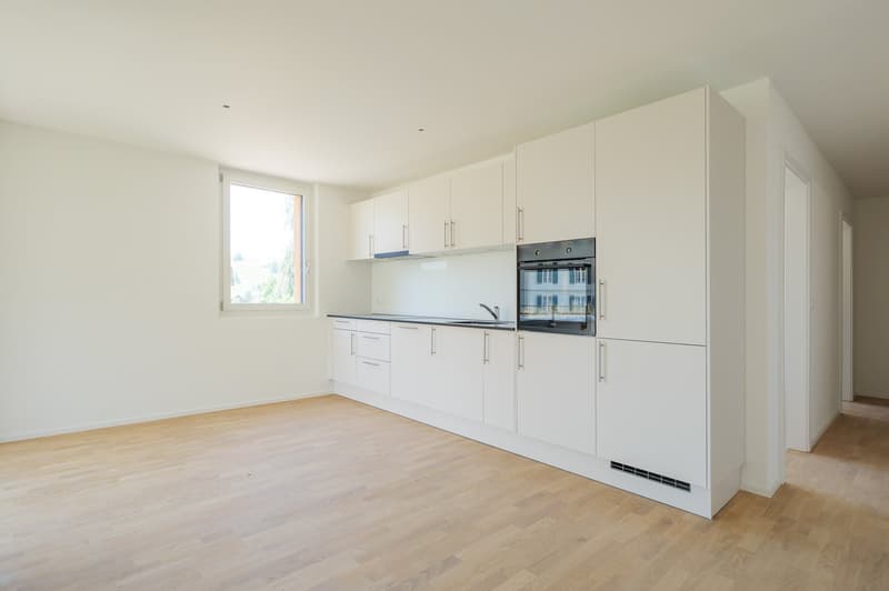 Investment Package – 9 New Apartments in Frilopark Huttwil (2)