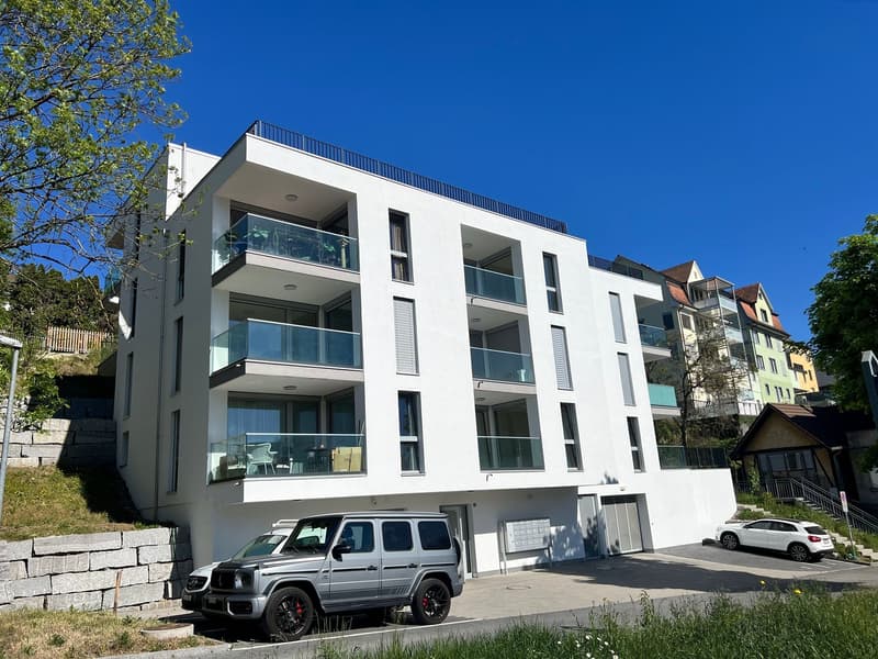 Moderne 1.5-Zimmer-Wohnung in Schaffhausen (1)