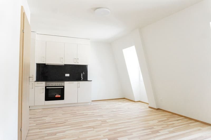 Moderne 1- und 1.5-Zimmerwohnungen im Herzen von Solothurn (9)