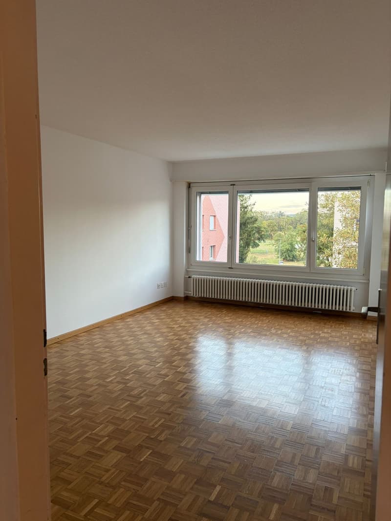 Charmante 3.5-Zimmer-Wohnung in Obergösgen – sofort verfügbar! (3)
