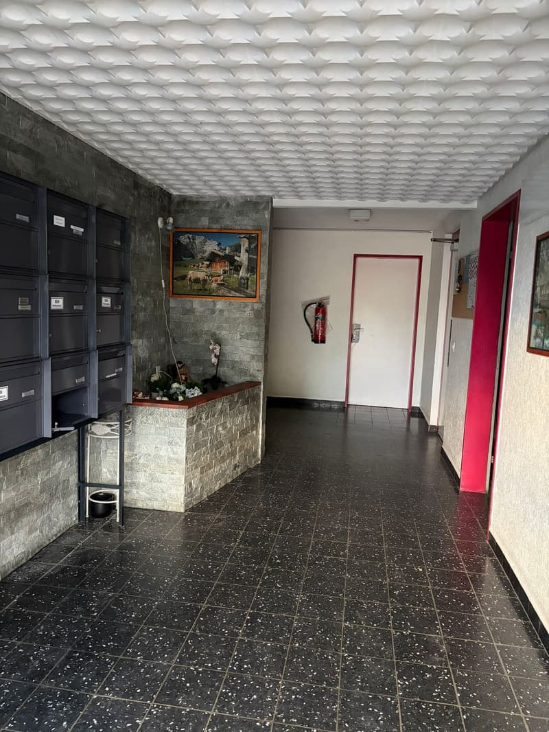 Charmante 3.5-Zimmer-Wohnung in Obergösgen – sofort verfügbar! (2)