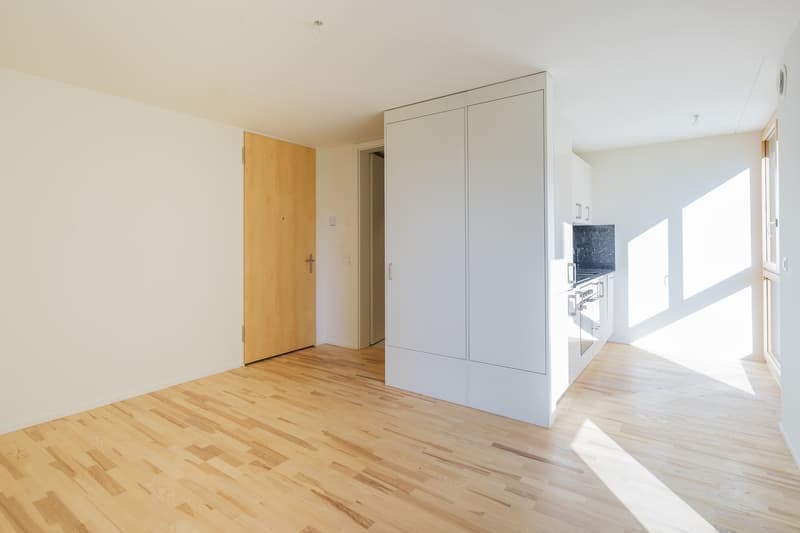 Helle 1.5-Zimmer-Wohnung in Grenchen – ruhig, modern und sofort verfügbar (3)