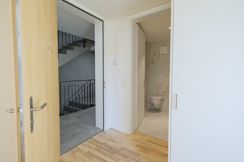 Helle 1.5-Zimmer-Wohnung in Grenchen – ruhig, modern und sofort verfügbar (2)