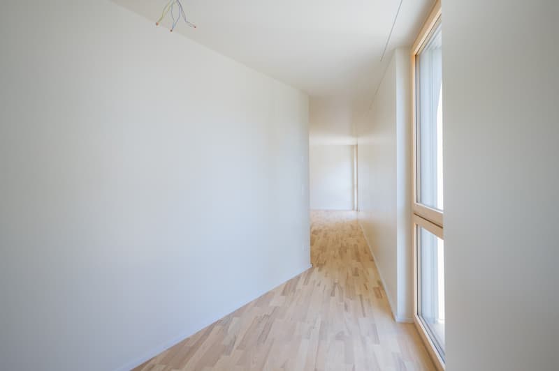 Helle 1.5-Zimmer-Wohnung in Grenchen – ruhig, modern und sofort verfügbar (6)