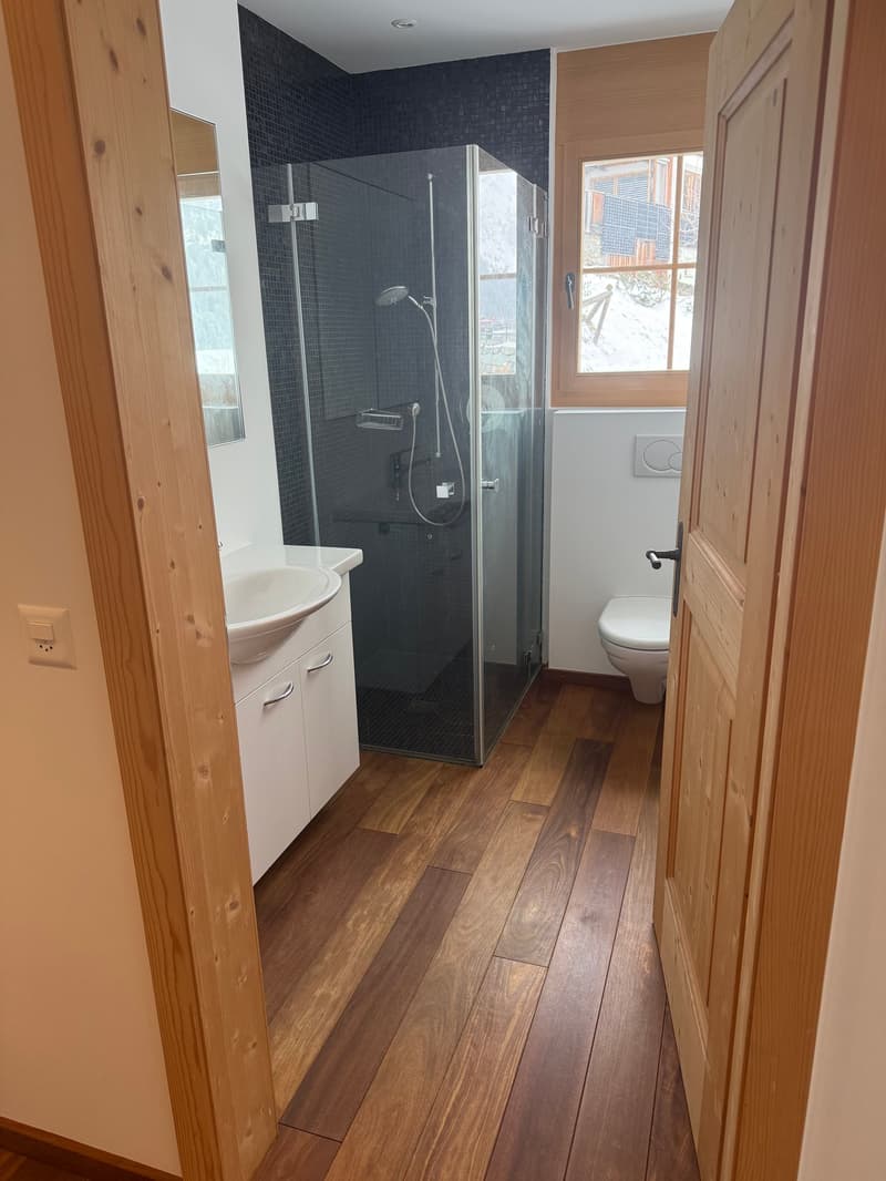 Appartement de deux pièces et demi exclusif avec vue sur le lac à Davos Dorf (4)