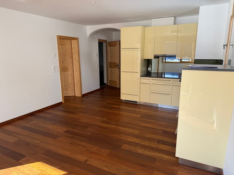 Appartement de deux pièces et demi exclusif avec vue sur le lac à Davos Dorf (3)