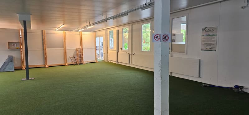 Raum für Ideen - vielseitige Gewerbefläche im Herzen von Eschlikon TG (4)