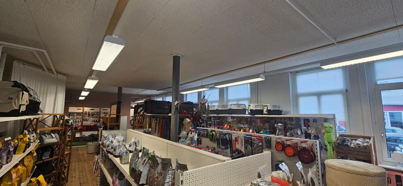 Raum für Ideen - vielseitige Gewerbefläche im Herzen von Eschlikon TG (7)