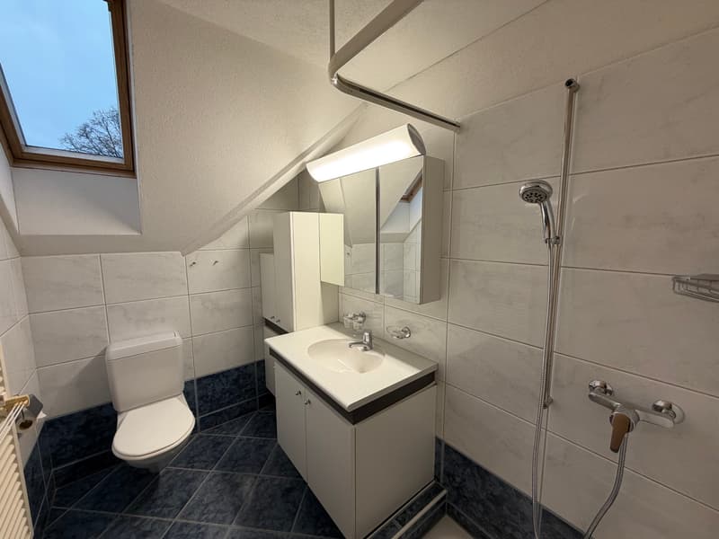Dusche / WC