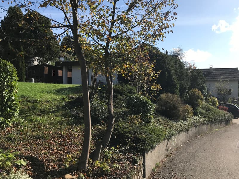 Ansicht von Westen