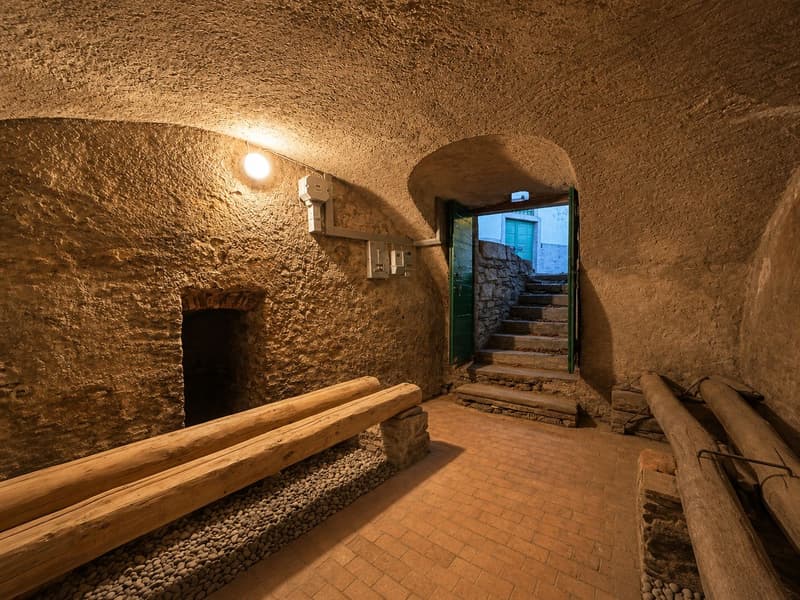 Retraite authentique au milieu de la nature : cave tessinoise à Mendrisio-Salorino (7)