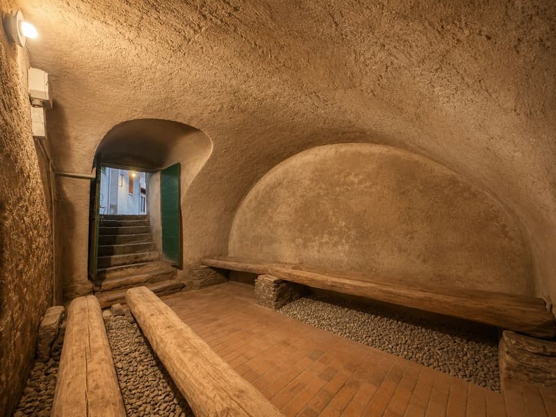 Retraite authentique au milieu de la nature : cave tessinoise à Mendrisio-Salorino (6)