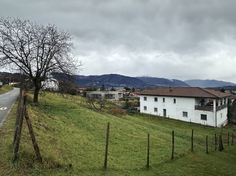 Terrain constructible dans une zone résidentielle à Stabio (2)