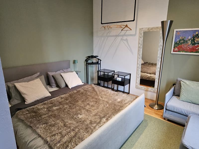 Two-room apartment in the Isola district (7)