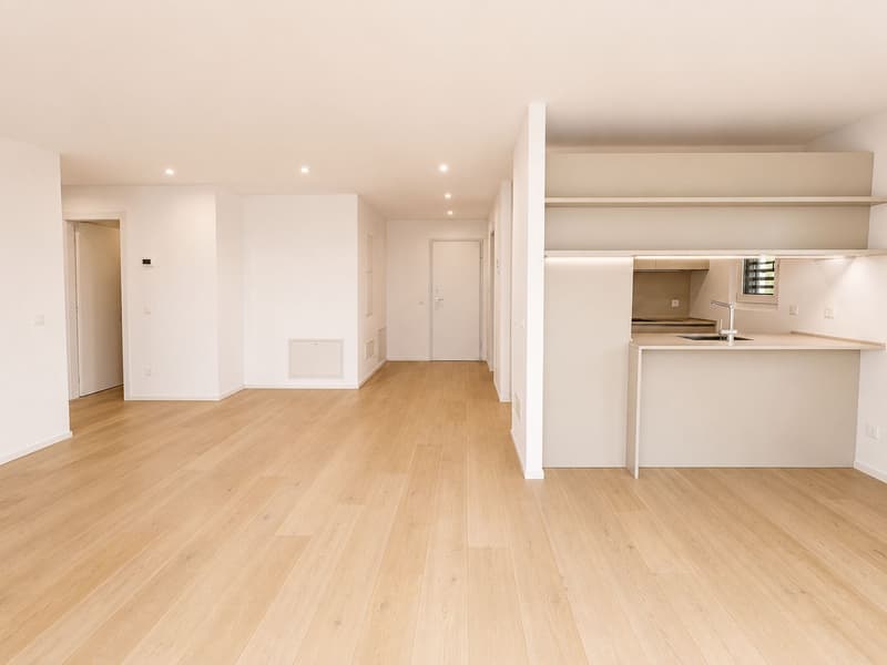 ULTIMA OCCASIONE - Appartamento attico 3.5 locali con terrazza panoramica (4)