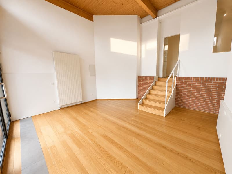 Büro-/Gewerbefläche auf zwei Ebenen im Herzen von Chiasso (4)