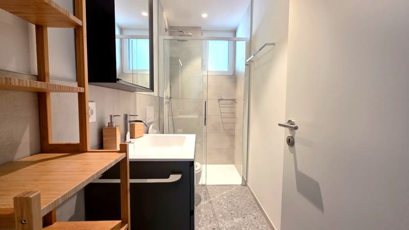 Ferienwohnung in Neubau (7)