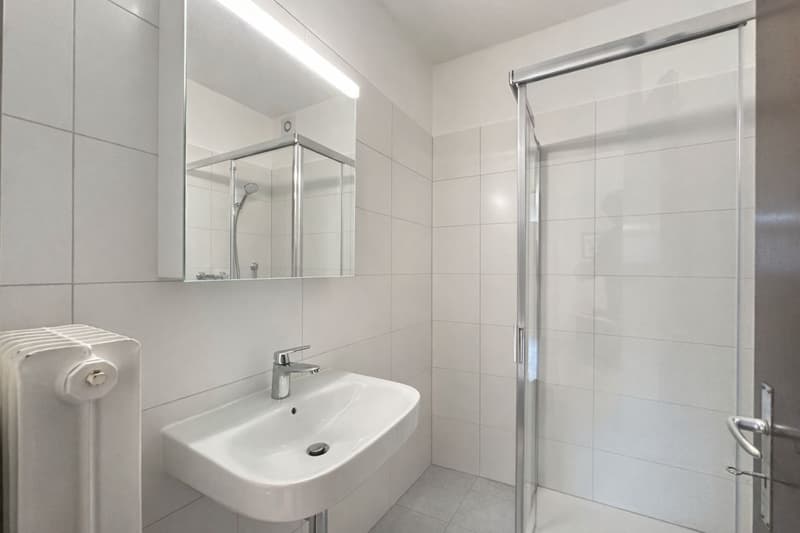 A piece of paradise in the heart of Muralto – 3.5-room apartment with garden (10)