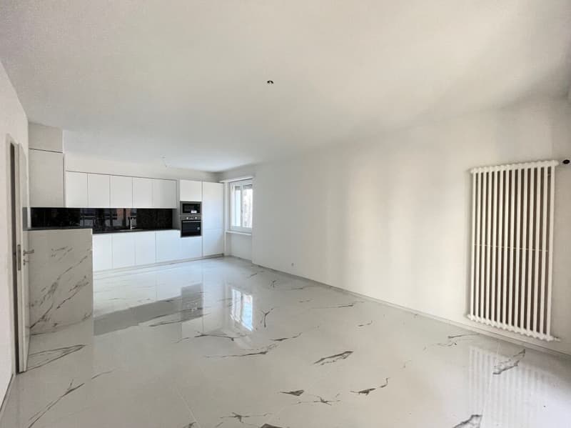 4.5 locali Locarno anche come residenza secondaria (1)