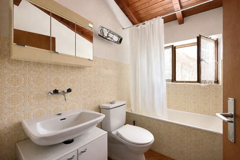 Typical mountain house in Val Morobbia (8)